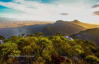 High ISO vs Low ISO Explained,Exposure & Light,General