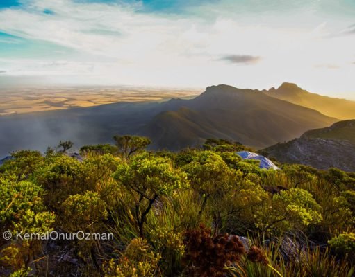 High ISO vs Low ISO Explained,Exposure & Light,General