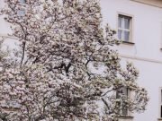 Istanbul Family Photographer