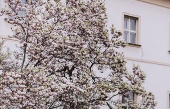 Istanbul Family Photographer