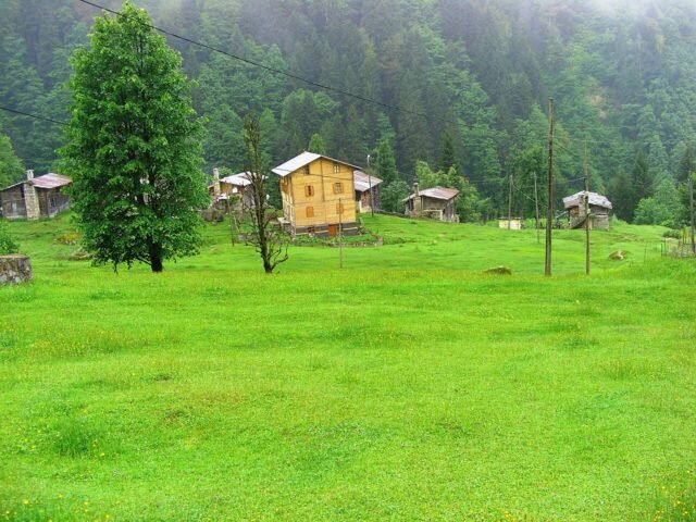 ayder-turkey-16511 Ayder Plateau