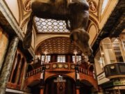 Upside-Down Horse in Prague: David Černý’s Statue in Lucerna Upside-Down Horse in Prague