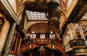 Upside-Down Horse in Prague: David Černý’s Statue in Lucerna Upside-Down Horse in Prague