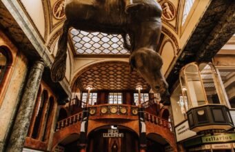 Upside-Down Horse in Prague: David Černý’s Statue in Lucerna Upside-Down Horse in Prague