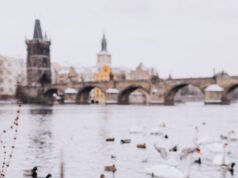 Náplavka in Winter: Photographing Prague’s Vltava Riverbank Náplavka in Winter